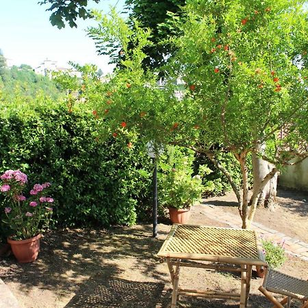 Le Coste Bed & Breakfast Veroli Екстериор снимка